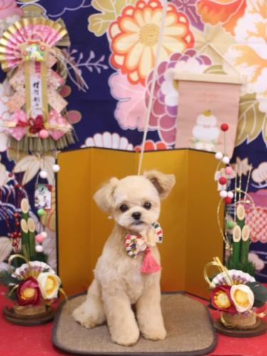 20240112だいくん